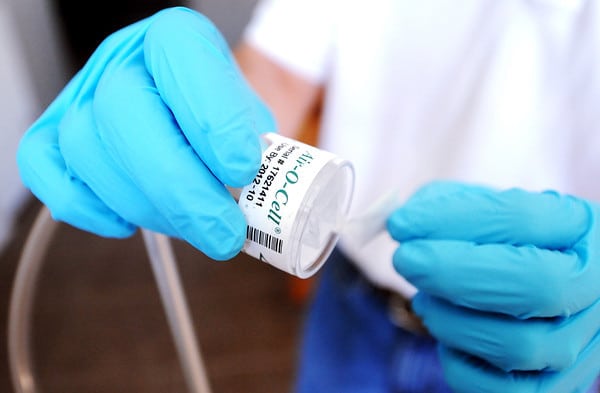 Professional Mold Remediation